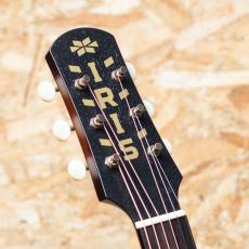 IRIS GUITAR COMPANY The DF Model Adirondack Spruce Tobacco Burst_8