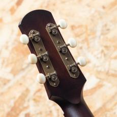 IRIS GUITAR COMPANY The DF Model Adirondack Spruce Tobacco Burst_9
