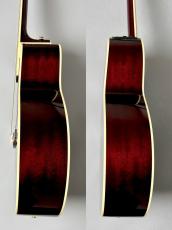 Takamine 【人気カラー】DMP551C WR #62080035【最大48回分割無金利】_10
