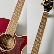 Takamine 【人気カラー】DMP551C WR #62080035【最大48回分割無金利】【G-CLUB UMEDA】_3