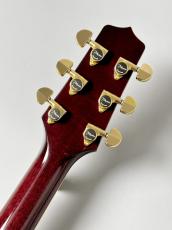 Takamine 【人気カラー】DMP551C WR #62080035【最大48回分割無金利】【G-CLUB UMEDA】_9