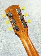 Tokai 【ボーナスセール】LS510S-CM  -Gold Top-. 【2025'USED】【1F】【オーダー品】_5
