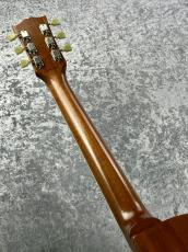 Tokai 【ボーナスセール】LS510S-CM  -Gold Top-. 【2025'USED】【1F】【オーダー品】_6