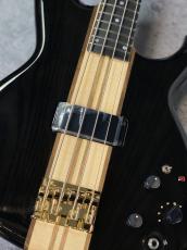 Aria Pro II SB-1000 - See through Black -【4.47kg】_5