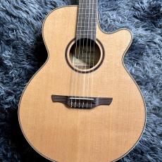 Takamine TSP148NC NS Thinline