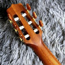 Takamine TSP148NC NS Thinline_7