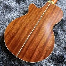 Takamine TSP148NC NS Thinline_8