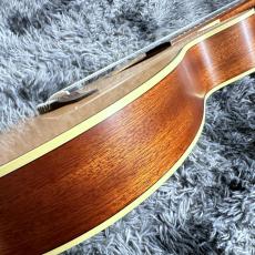 Takamine TSP148NC NS Thinline_10