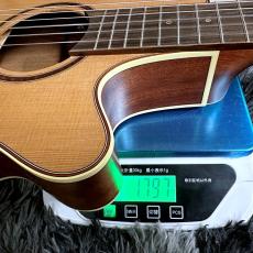 Takamine TSP148NC NS Thinline_11
