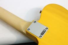 Fender Standard Telecaster / Butterscotch Blonde / 3.45kg_7