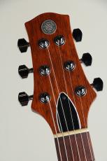 Kz Guitar Works Kz One Semi Hollow 2S23 TOM_4