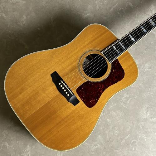Guild D-55