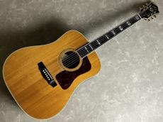 Guild D-55_2