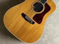 Guild D-55_3