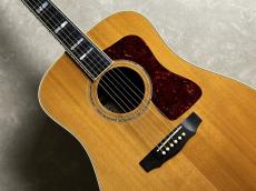 Guild D-55_4