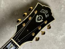 Guild D-55_6