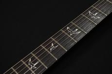 Paul Reed Smith [PRS] FIORE HH  Amaryllis 【2026年製・本体重量3.16kg】_9