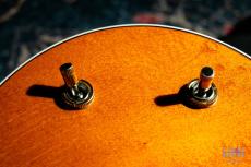 Gretsch 6120-60 Nashville / 2002_3