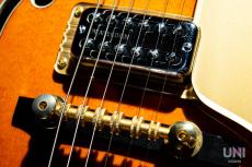 Gretsch 6120-60 Nashville / 2002_5