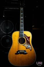 Gibson Doves in Flight / 2006_3