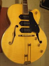 Epiphone Zephyr Blues Deluxe (2002)