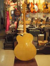 Epiphone Zephyr Blues Deluxe (2002)_3