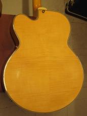Epiphone Zephyr Blues Deluxe (2002)_4
