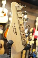 SCHECTER OL-PT-CTM/WHT/R_9