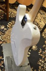 SCHECTER OL-PT-CTM/WHT/R_13