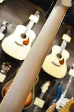 SCHECTER OL-PT-CTM-BPG/BLK/R_10