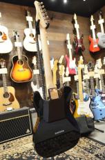 SCHECTER OL-PT-CTM-BPG/BLK/R_13