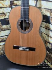 西野春平　Nishino Shunpei Model:NR-3 杉・ローズウッド 【日本総本店2F 在庫品】