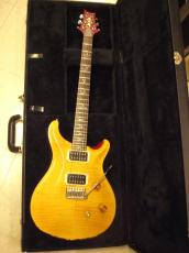 Paul Reed Smith [PRS] CUSTOM24 10TOP (2008)_9
