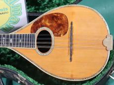Martin STYLE-C_2