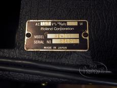 Roland RE-301_6