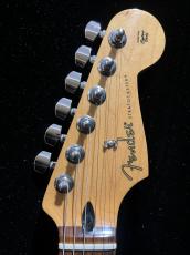 Fender Limited Edition Player Stratocaster_3