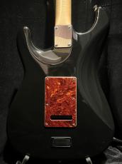 James Tyler USA Classic Michael Landau model  Full-Spec Mod""_4