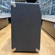 Mesa/Boogie Satellite 60_4