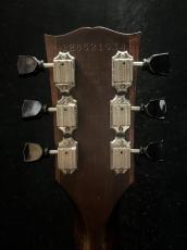 Gibson LPJ_6