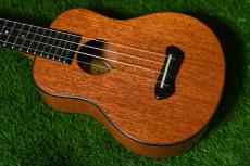 Leaf Instruments 照り葉 Mahogany Concert【USED】