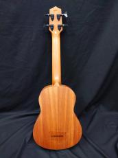 KALA UBASS-NOMAD-FS_2