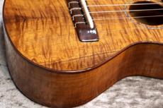 Famous FC-500 Premium 個体番号1 【コンサート】【プレミアムモデル】【現物写真】【池袋在庫品】_4