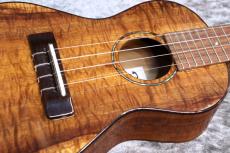 Famous FC-500 Premium 個体番号3 【コンサート】【プレミアムモデル】【現物写真】【池袋在庫品】_3