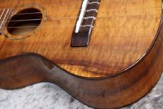 Famous FC-500 Premium 個体番号3 【コンサート】【プレミアムモデル】【現物写真】【池袋在庫品】_5
