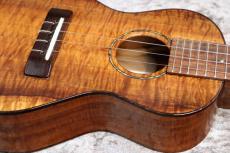 Famous FC-500 Premium 個体番号3 【コンサート】【プレミアムモデル】【現物写真】【池袋在庫品】_7