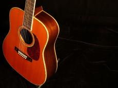 Martin 200th Anniversary D-45 Commemorative【世界限定200本 CFマーチン生誕200周年記念モデル】解説試奏動画ご覧下さい。_15