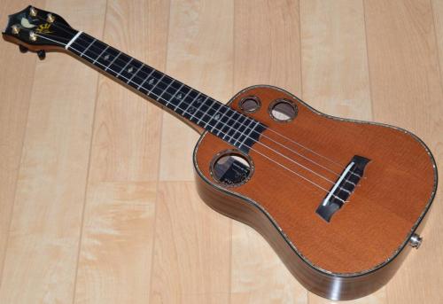 I'iwi Premium Custom