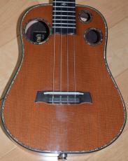 I'iwi Premium Custom_5