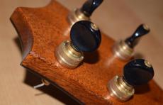 I'iwi Premium Custom_9