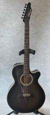 Takamine PT-106S